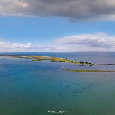 Seestern Olpenitz Bagian luar foto